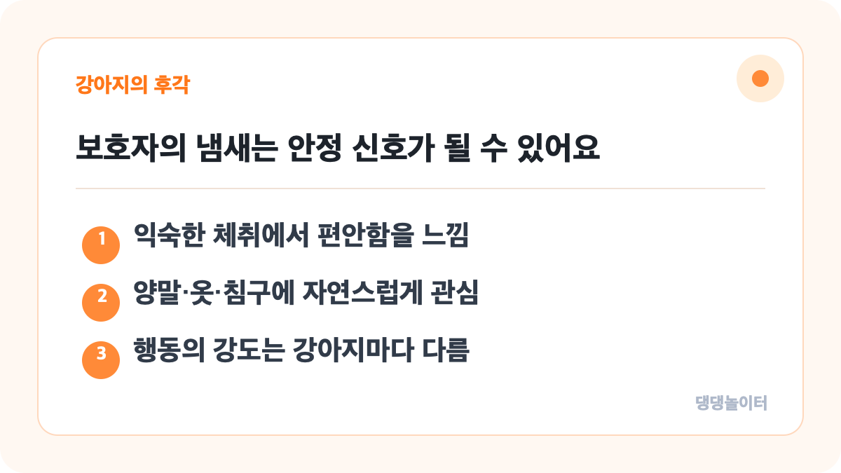 본문 핵심 내용을 요약한 댕댕놀이터 정보 카드